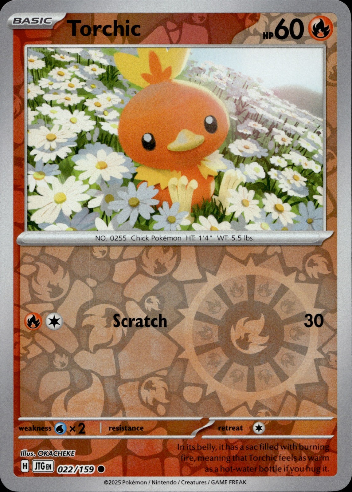 Torchic Common SV09: Journey Together 022/159 NM